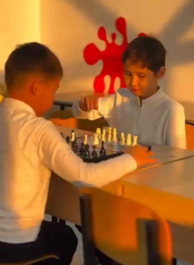 Интеллектуальная школа Edulight