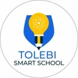 Tolebi Smart School