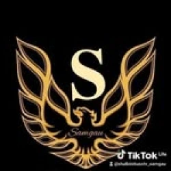 Samgau ​Центр дополнительного образования - логотип