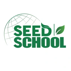 ОНЛАЙН ШКОЛА SEED - логотип