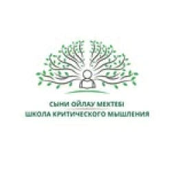Школа критического мышления